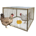 15" H Chicken Pigeon Trap Cage Birdcage Small Animal Trap Cage with Escape-Proof Design for Bird Turkey Duck Dove (23.6" L x 23.6" W x 15.7" H) - size: 23.6"L x 23.6"W x 15.8"H