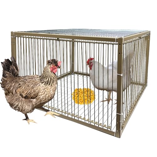 15" H Chicken Pigeon Trap Cage Birdcage Small Animal Trap Cage with Escape-Proof Design for Bird Turkey Duck Dove (23.6" L x 23.6" W x 15.7" H) - size: 23.6"L x 23.6"W x 15.8"H