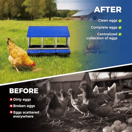 Chicken Nesting Box 3-Compartment Roll-Out with Pull-Out Trays, Egg Nesting Boxes for Hens, Chicken Coop Laying Box,Easy Wall Mounting with Metal Legs - color: Blue, size: 3 holes