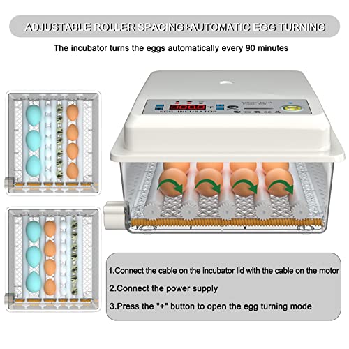 Incubators for Hatching Eggs Fahrenheit 12-16 Eggs Incubator with Automatic Egg Turning and Egg Candler Incubator for Chicken Quail Duck Pigeon Eggs Poultry Incubators