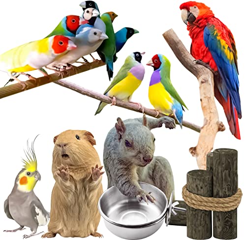 3 Pack Bird Feeding Bowls Cups Parrot Food Water Dishes, Stainless Steel Bird Bowl Cup Dish with Clamp, Birdcage Feeder Pet Cage Bowls for Cockatiel Budgie Conure Macaw Parakeet Small Animal - size: 3 Pack