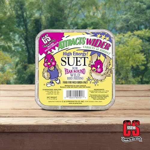 C&S High Energy Suet Treat, Suet Cakes for Wild Birds, Pack of 8 | Suet cakes for woodpeckers, made with real insects, use in a suet feeder year-round - style: High Energy, 8 Pack