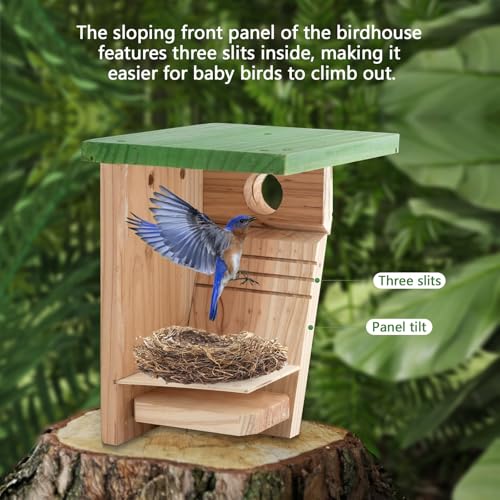 Cedar Bird House with Metal Predator Guard, Wild Bird Nesting Box | Clear viewing window, easy-clean side door, 3/4" cedar, and interior grip for wild wrens, swallows, and chickadees - style: Classic
