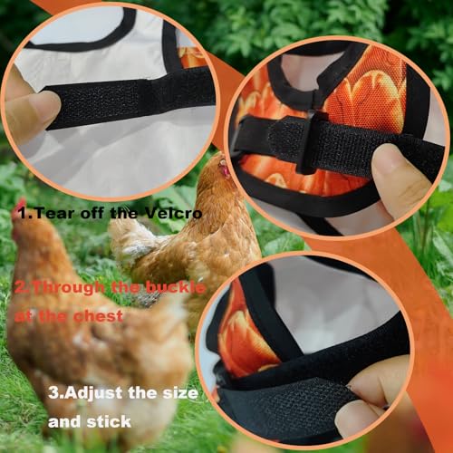 3-Pack Chicken Saddle for Hens, Wing & Back Protector Aprons | Adjustable chicken saddle protects hens’ back and wings from rooster mating, pecking and feather loss