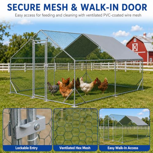 Large Metal Chicken Coop Run with Removable PE Cover, Walk-in Galvanized Steel Poultry Enclosure with PVC-Coated Wire Mesh and Lockable Door for Chickens, Ducks and Rabbits (10'Lx13' W x6.56'H) - size: 10'Lx13' W x6.56'H