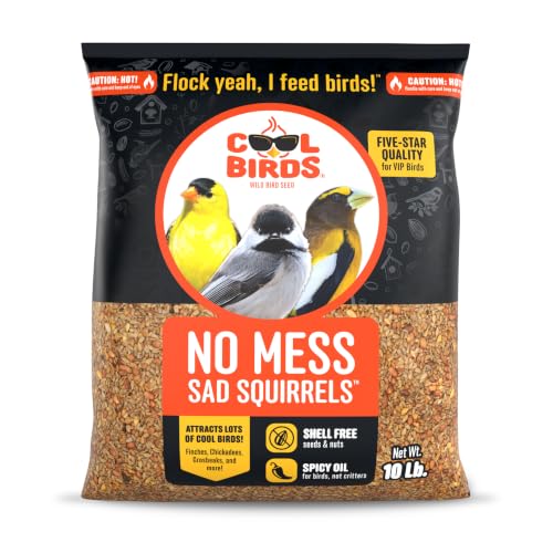 Cool Birds No Mess Sad Squirrels Hot Bird Seed, 10 lb | Spicy shell-free blend of peanuts, sunflower hearts & chili pepper oil – Birds can't detect heat, critters can