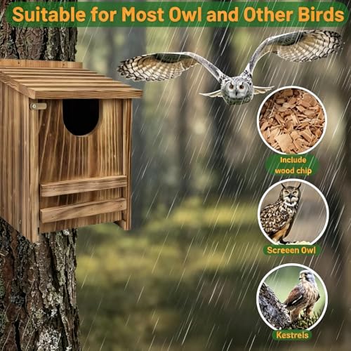 Carbonized Pine Owl Nesting Box, Outdoor Owl House 14"x9"x9" | Owl box with wood shavings, easy install. Natural wood, practical gift for bird and wildlife lovers.
