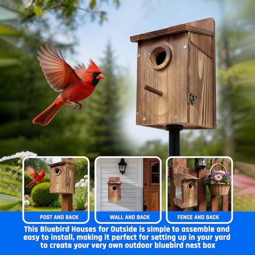 2PCS Bird Houses for Outside – Carbonized Bluebird Houses for Outside With Round Entry Hole & Perch， Features Clear View Window & Predator Guard， Perfect for Bluebirds, Finches, Swallows & More