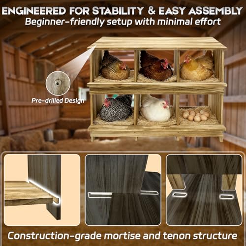 6 Holes Gold Standard Chicken Nesting Box for Laying Eggs, Two-Tier Wooden Nesting Boxes for Chickens, Farmhouse Series Laying Box for Hens, Ducks and Birds - color: Wooden 6-Hole