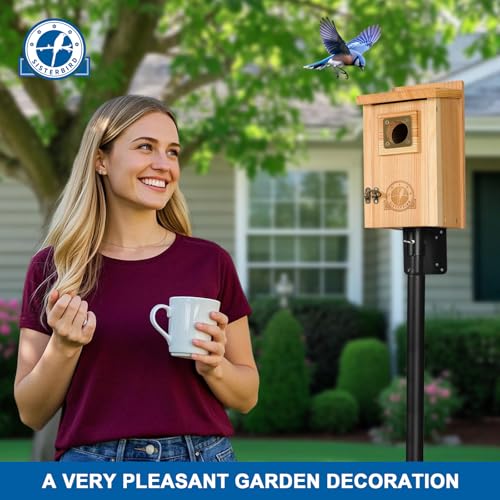 SISTERBIRD Bird Houses for Outside Clearance with Copper Guard, Cedar Bird House Outdoor, Bluebird Finch Swallow Wren Chickadee - color: Burly Wood & Copper-colored -- 1PC