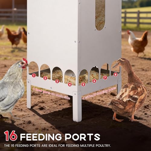 70-85lbs Automatic Chicken Feeder No Waste Gravity Poultry Feeder | Large Capacity Galvanized Chicken Food Dispenser with 16 Ports and Visible Feed-Level, for Duck, Goose,Turkey, Tapered Lid