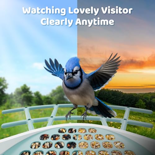 Smart Bird Feeder with Camera – 2K HD, Free Lifetime AI Bird Identification | Solar Powered, Motion Alert, 2.4GHz WiFi, Dual Seed Compartments – Outdoor Bird House Camera for Bird Lovers - color: Sky Blue