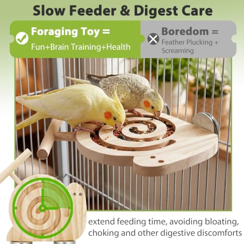 Bird Foraging Toys with Perch, for Novice/Older/Slow-Learning Birds | Kiln-Dried Wood Bird Enrichment Toys for Slow Feeder, Parakeet Puzzle Toy for Cages Reduce Seed Mess, Visible Food Design - size: no mirror