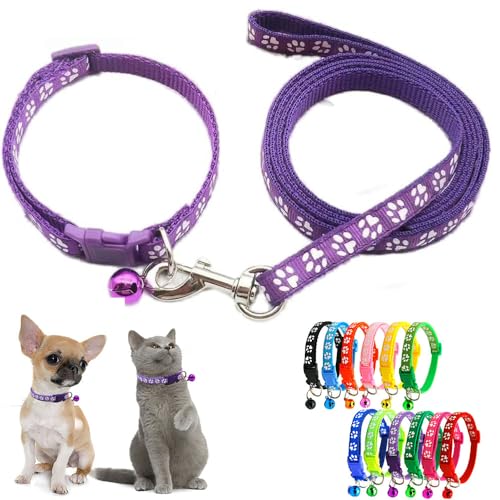 Purple Puppy Collar and Lead Sets, XXS Dog Collar Lead Set Reflective Pawprint Adjustable Kitten Collar with Bell for Tiny Little XXS XS Extra Small Breed Pets Dogs Cats Girls Boys - color: Purple