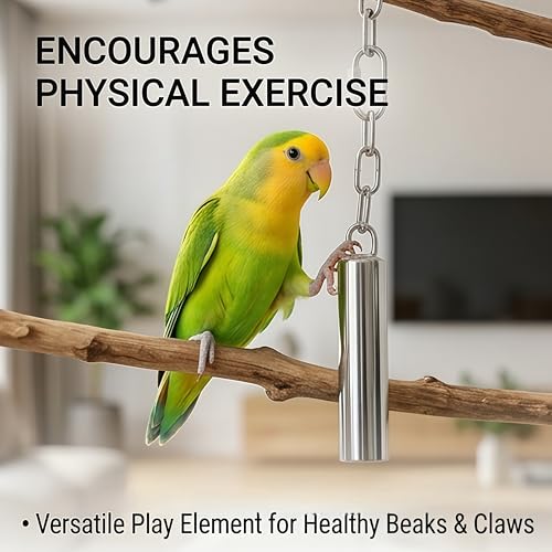 Stainless Steel Bird Bells 2-Pack | Durable Hanging Bird Toy for Cage, Interactive Budgie Toys for Parakeet & Cockatiel