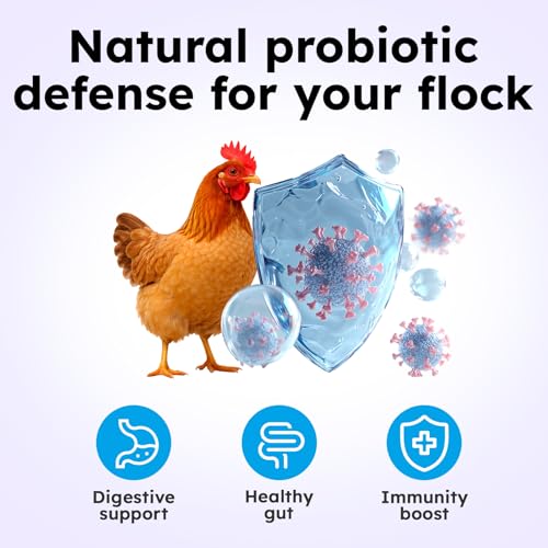 Probiotics for Chickens & Poultry – Digestive & Gut Health Support with Prebiotics & Brewer's Yeast, Chicken Vitamins and Supplements (30 Scoops/Up to 300 Servings)