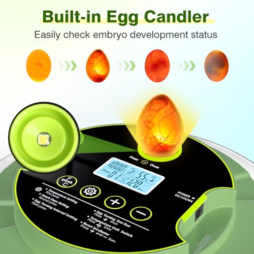 18 Egg Incubators for Hatching Eggs, Egg Incubator with Temperature Control, Humidity Display, Auto Egg Turner, Egg Candler, 2 Size Egg Trays, Digital Incubator for Chicken, Duck, Quail Eggs