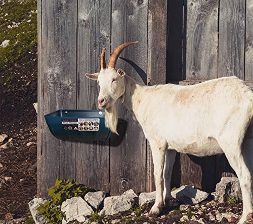 Chicken Feeder Waterer, Goat Feeder - 2 Pack, 5.5 Quart, for Goats Chickens Duck Sheeple Dogs Piglets Deers Gooses, Turkeys, Goat Supplies(Appearance Patent Product) - color: Dark green