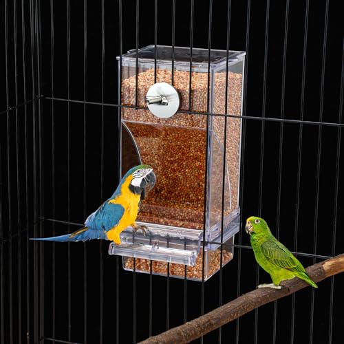 Jingmore 4 Pcs No Mess Small Bird Feeder Parakeet Water Dispenser Set Automatic Clear Parakeet Feeder Acrylic Watered Cage Accessories for Canary Budgie Lovebirds Finches(Green) - color: Green