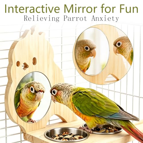 Parrot Bird Perch with Mirror and Stainless Steel Feeding Cups | Bird Perch Platform Toy,Wooden Play & Exercise Gym Stand,Cage Accessory for Cockatoos,Lovebirds,Budgies,Pacific Parrotlets B - color: D