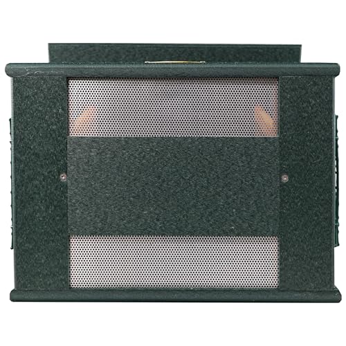 DutchCrafters Poly Hopper Bird Feeder with Suet Holder, Large Suet Feeder for Birds, Outdoor Hanging - Amish American Made (Turf Green & Cedar) - color: Turf Green & Cedar