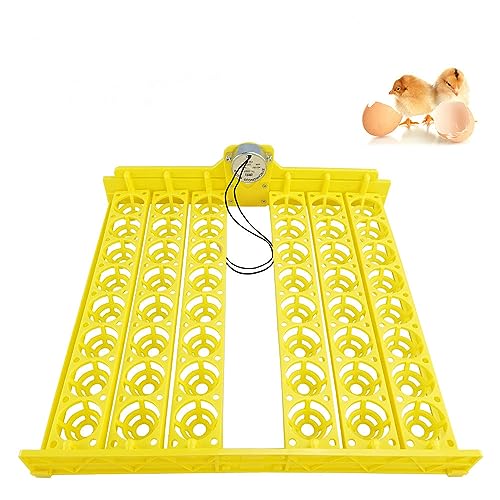 110V 48 Eggs Turner Tray Chicken Duck Quail Bird Poultry Eggs Tray