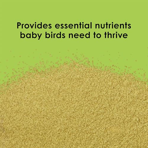 Kaytee Exact Hand Feeding Formula Baby Bird Food for Baby Birds, 5 Pounds - size: 5 Pound (Pack of 1)
