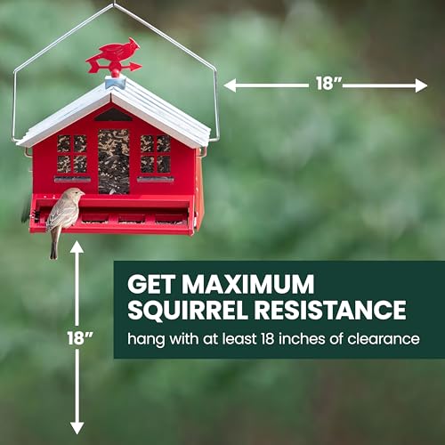 Perky-Pet Squirrel-Be-Gone II Country Style Bird Feeder, 8 lb Seed Capacity | Weight-Activated, Squirrel Proof, Metal Construction, Rust Resistant, Locking Lid, Removable Roof, Adjustable Settings, 338