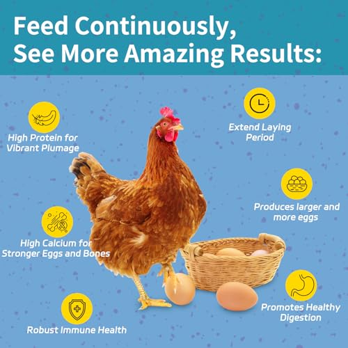 10LB Dried Black Soldier Fly Larvae for Chickens | Factory Direct-No Middle Man, 4% Calcium for Strong Eggshells, 43% Protein Natural Treats for Vibrant Feathers - size: 10 Pound (Pack of 1)