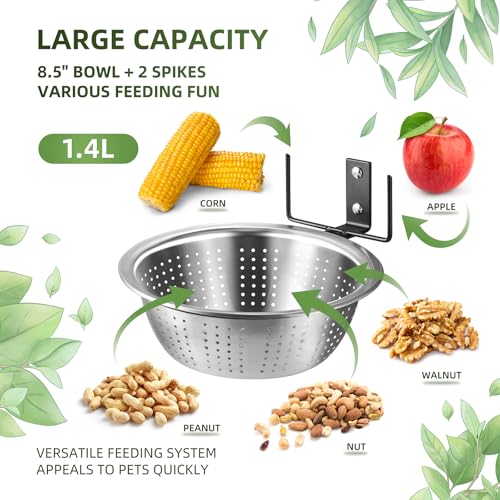 2 Pack 8.5"/1.4L Squirrel & Bird Feeder Combo - 1 Metal Food Bowl with Colander System + 1 Water/Bath/Swim Tray | Tree/Fence Mounted Perfect for Outside | Removable Easy Clean Wildlife Delight - size: 1 Food Stand 1 Water Stand