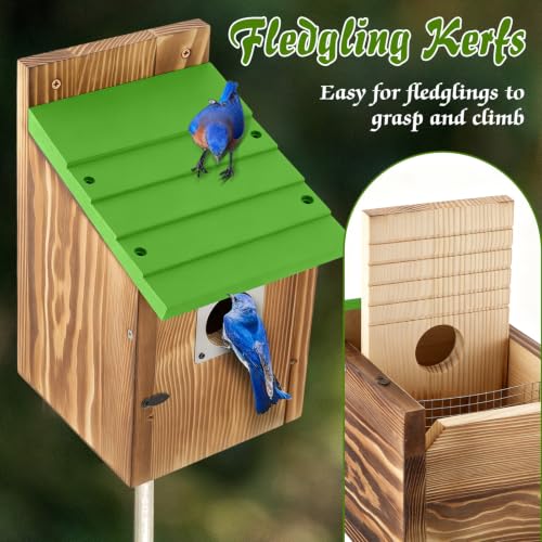 Dreyoo Bluebird Houses for Outside, 1-1/2” Entrance Hole Wooden Bird Houses for Outdoor with Metal Predator Guard, Secure Latch, Fledgling Grooves, Air Vents(Green Roof, Burnt Wood Body) - color: Green Roof, Burnt Wood Body