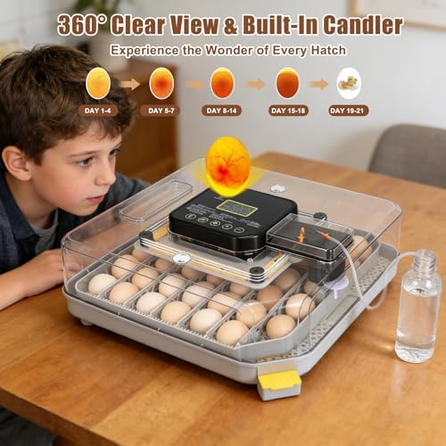 Gen IV – 48 Egg Fully Automatic Incubator, 2026 Upgraded Design, Intelligent Sensor-Based Humidity & Temp Control, Custom Days, Adjustable Auto Turning & Stop, Chick Separator, Flexible Egg Spacing - size: 48 egg-black