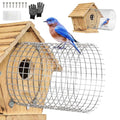 Tryly 2Pcs Bluebird House Protector Guards, Stainless Bird House Entrance,Designed for the Secure of Eastern Bluebird Homes and Their Chicks (Round) - style: Round