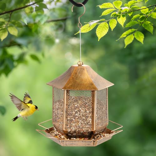 Bird Feeder, Heavy Duty Metal Bird Feeders for Outdoor Hanging, 3.5LB Extra Large Capacity Wild Birdfeeder for Garden Yard Outside Backyard - size: 3.5 pounds