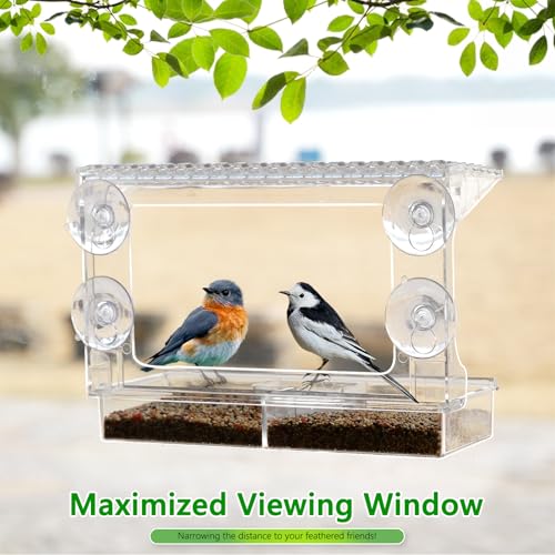 Gbekery Window Bird Feeder for Viewing with Suction Cups & Detachable Tray | Clear Acrylic Window-Mounted Feeder, Removable Separate Seed & Water Tray with Drainage Holes, Ideal Gift for Bird Watchers