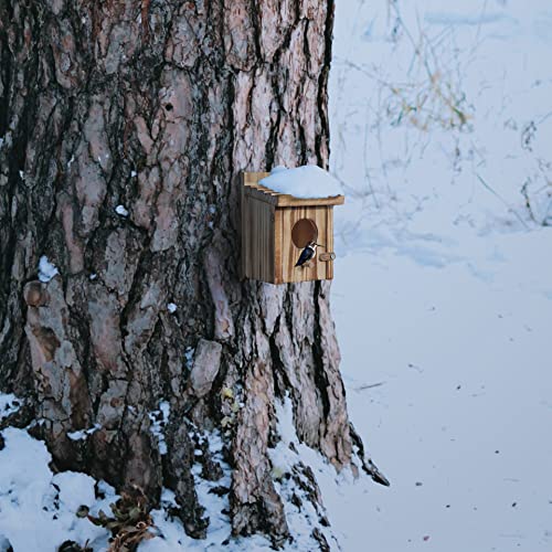 Humming Bird Houses for Outdoor Hanging Small Bird Nesting Box - Wood Nest for Wren, Chickadee, Robin, Hummingbird, Parakeet - Perch House for Outdoors Birdhouse Birds - Made of Pine Wood