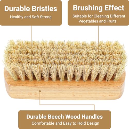 Vegetable Scrubber, Veggie Potato Fruit Brush for Food | Firm Bristles, Wood Veggie Wash Scrubber, Carrot Cucumber Tableware Cleaning, Kitchens Camping Brush Tool
