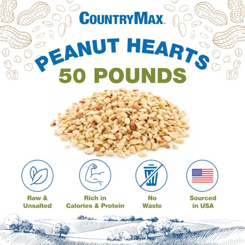 CountryMax Backyard Seeds Peanut Hearts - High-Energy Wild Bird Food, 50 lbs (50 Pounds) - size: 50 Pound (Pack of 1), style: Peanut Hearts