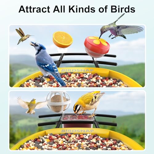 birdsnap® PAV Bird Feeder with Camera Solar Powered 2K Live Video 64GB Card | AI Bird Species Identification, Instant Arrival Alerts, IP65 Waterproof, Wild Bird Feeders for Outdoors, Gift for Bird Lovers - color: Dark Yellow