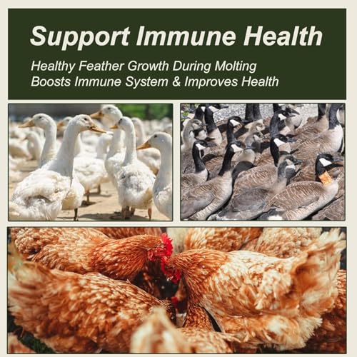 Adaman Dried Mealworms -5 LBS- 100% Natural High Protein Mealworms - Bulk Meal Worms for Blue Birds, Chickens, Ducks - Best Chicken Treats, Bird Food, Turtle Food - size: 5 Pound (Pack of 1)