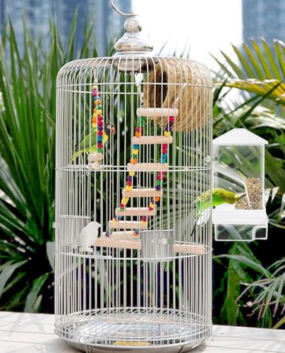 Hamiledyi Automatic Bird Feeder No Mess Bird Cage Feeder Seed Food Container with Perch Transparent Parrot Cage Accessories for Parakeets, Budgies, Cockatoos, Finches, Lovebirds, Canaries (White) - color: Translucent White + Perch