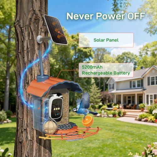 Smart Bird Feeder with 2K Camera: Wireless Wild Bird Feeder Solar Powered