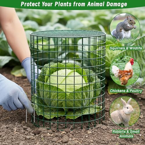 Convivium Plant Protectors from Animals 6 Packs, 13 x 12 in Metal Chicken Wire Cloche Plant Cages for Outdoor Plants, Garden Fencing Animal Barrier with Detachable Dome Lid, Stakes & Zip Ties