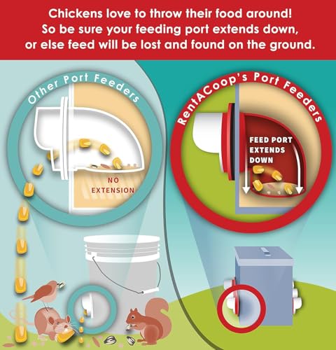 RentACoop High Rise BPA-Free Single-Port Chicken Feeder - 10lb