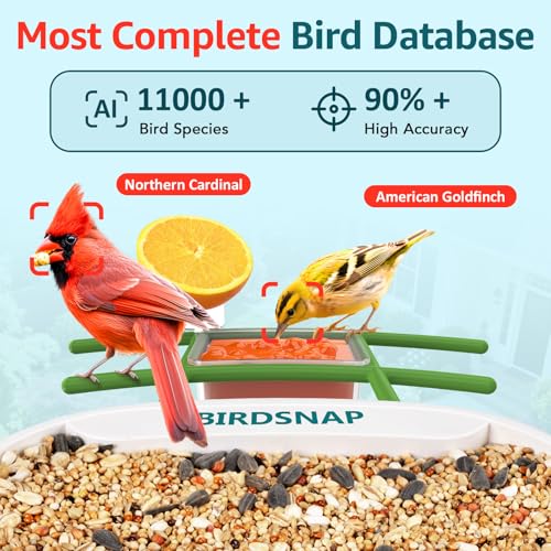 birdsnap® TUC Bird Feeder with Camera Solar Powered 2K Video with 32GB Card | AI Bird Species Identification, Squirrel-Proof, IP65 Waterproof, Outdoor Wireless, 2.4G WiFi, Gift for Mom Dad Bird Lovers - color: Green