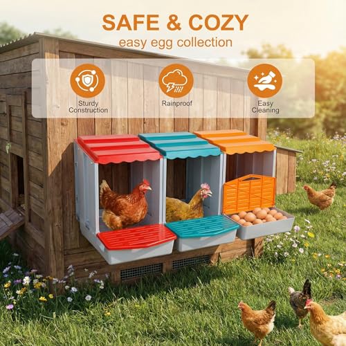 3Compartment Modular Chicken Nesting Boxes with Roll Away Design | Detachable Egg Tray; Perch Included; Modular Design Allows Individual Use or Connection of Multiple Units; Egg Collection