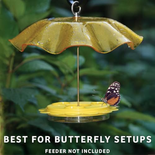 Birds Choice Weatherguard Bird Feeder Dome | 13in Rain Cover | Clear | Polycarbonate Cover for Small Hanging Feeders, Helps Keep Seed Dry, Not a Squirrel Baffle - color: Clear
