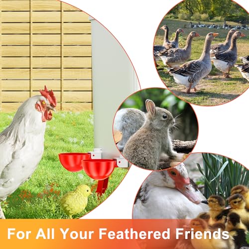 Chicken Waterer Cups, Automatic DIY Chicken Water Bowl 6 Pack | Chicken Flock Waterer Cups with 3/8'' Hole Saw for Bucket, Trough, Easy Install - size: 6 Pack