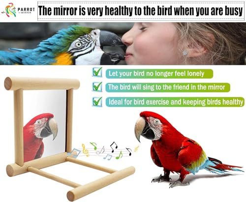 Blessed Family 2 Piece Bird Parakeet Mirror for Cage,Parrot Perch Stand,Wooden Hummingbird Swing Toy,Parakeet Accessories for Cockatiels Conure Finch Lovebird Canary African Grey Macaw