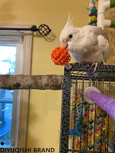 10-Pack Bird Toys for Parrots – Natural Rattan and Plastic Bell Balls | Safe, Fun Cage Decor, Foot Exercise, 1.5'' - 5.5'' - size: 1.5'' - 5.5''